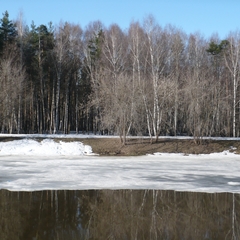 Парк-отель Берендеевка, Кострома, Костромская область