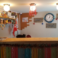 Отель Центральный, Кострома, Костромская область