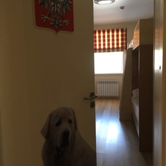 Гостиница Вокзалъ Кострома Сырная, Кострома, Костромская область