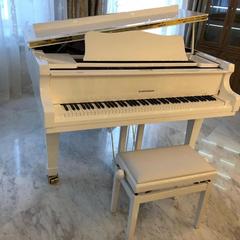 Отель Александровский, Кострома, Костромская область