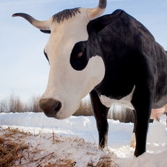 Гостиница Вокзалъ Кострома Сырная, Кострома, Костромская область