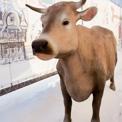 Гостиница Вокзалъ Кострома Сырная, Кострома, Костромская область
