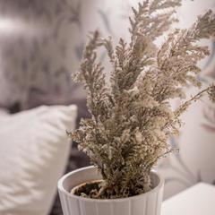 Гостевой дом Скворечник, Кострома, Костромская область