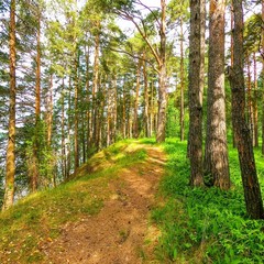 Загородная база отдыха Губернский двор, Кострома, Костромская область