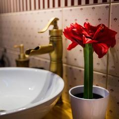 Гостевой дом Скворечник, Кострома, Костромская область