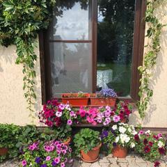 Гостевой дом Дальняя 11, Кострома, Костромская область