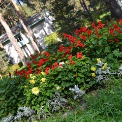 Загородная база отдыха Губернский двор, Кострома, Костромская область