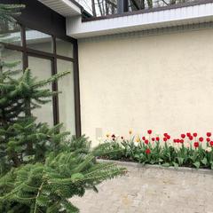 Гостевой дом Дальняя 11, Кострома, Костромская область