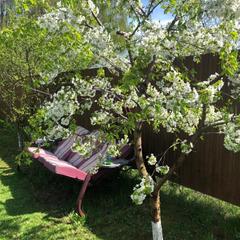 Гостевой дом Дальняя 11, Кострома, Костромская область