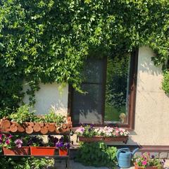 Гостевой дом Дальняя 11, Кострома, Костромская область