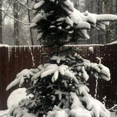 Гостевой дом Дальняя 11, Кострома, Костромская область