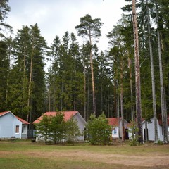 База отдыха Солнечный бор, Костяевка, Вологодская область