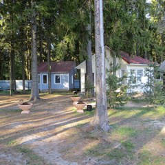 База отдыха Солнечный бор, Костяевка, Вологодская область