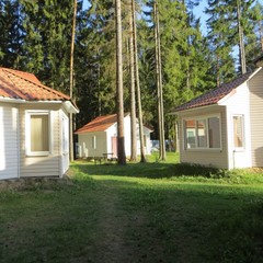 База отдыха Солнечный бор, Костяевка, Вологодская область