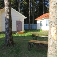 База отдыха Солнечный бор, Костяевка, Вологодская область