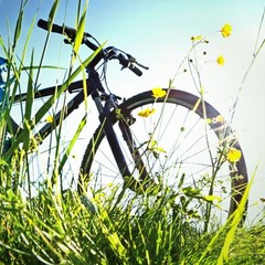 Загородная база отдыха Губернский двор, Кострома, Костромская область