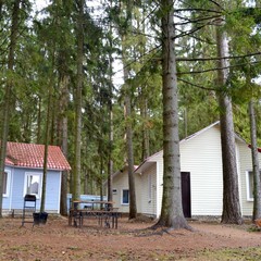 База отдыха Солнечный бор, Костяевка, Вологодская область