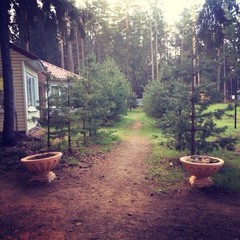 База отдыха Солнечный бор, Костяевка, Вологодская область