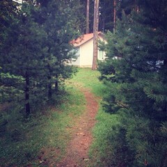 База отдыха Солнечный бор, Костяевка, Вологодская область