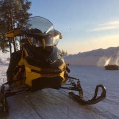 База отдыха Солнечный бор, Костяевка, Вологодская область