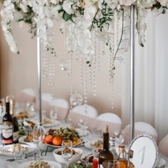 База отдыха Солнечный бор, Костяевка, Вологодская область