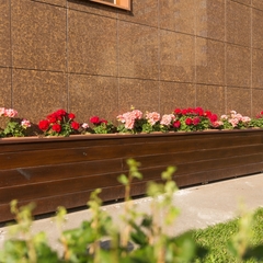 Гостиница Альва Донна, Котельники, Московская область