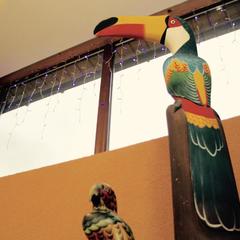 Отель Тукан, Красная Поляна, Краснодарский край