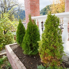 Вилла Вилла Уютная, Красная Поляна, Краснодарский край