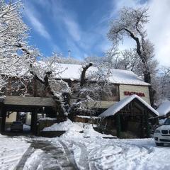 Гостевой дом Kastana, Красная Поляна, Краснодарский край