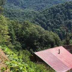 Гостевой дом Kastana, Красная Поляна, Краснодарский край