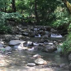 Гостевой дом Kastana, Красная Поляна, Краснодарский край