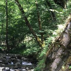 Гостевой дом Kastana, Красная Поляна, Краснодарский край