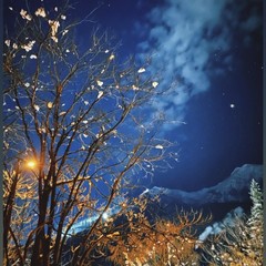 Апартамент Оплот, Красная Поляна, Краснодарский край