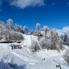 Апартамент Оплот, Красная Поляна, Краснодарский край