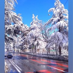 Апартамент Оплот, Красная Поляна, Краснодарский край