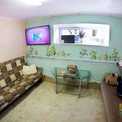 Хостел ABC, Красная Поляна, Краснодарский край