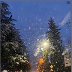 Апартамент Оплот, Красная Поляна, Краснодарский край