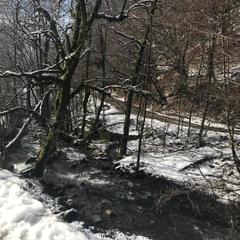 Гостевой дом Kastana, Красная Поляна, Краснодарский край