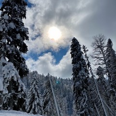 Апартамент Оплот, Красная Поляна, Краснодарский край