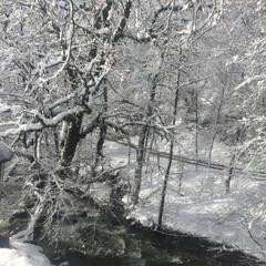 Гостевой дом Kastana, Красная Поляна, Краснодарский край