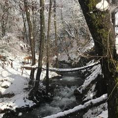 Гостевой дом Kastana, Красная Поляна, Краснодарский край