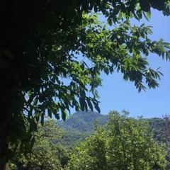 Гостевой дом Kastana, Красная Поляна, Краснодарский край