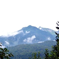 Гостиница Утомленные солнцем, Сочи, Краснодарский край