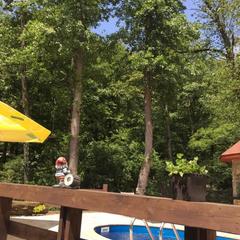 Гостевой дом Kastana, Красная Поляна, Краснодарский край