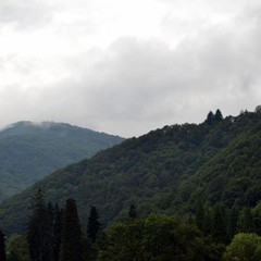 Гостиница Утомленные солнцем, Сочи, Краснодарский край