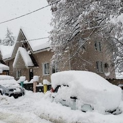 Хостел ABC, Красная Поляна, Краснодарский край