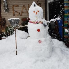 Хостел ABC, Красная Поляна, Краснодарский край