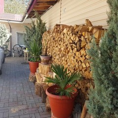 Хостел ABC, Красная Поляна, Краснодарский край