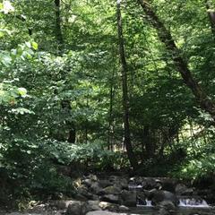 Гостевой дом Kastana, Красная Поляна, Краснодарский край