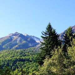 Гостиница Утомленные солнцем, Сочи, Краснодарский край